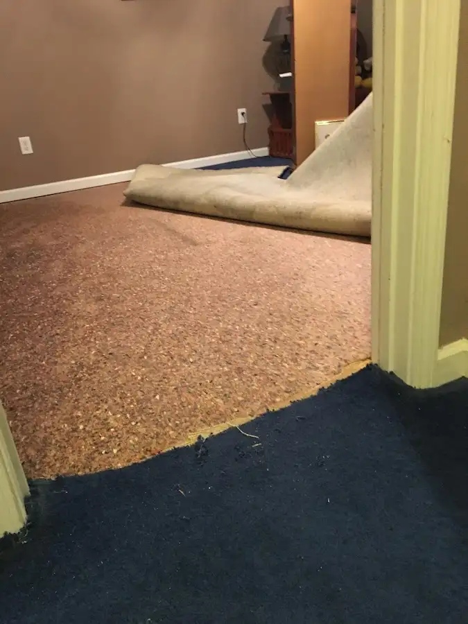 Carpet pad removal revealing water damage during Water Mitigation Services in Mountainside