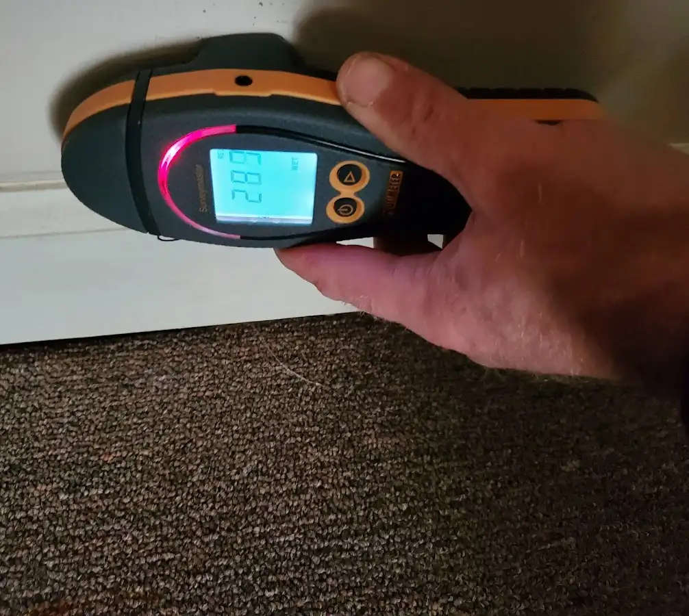Moisture detection at baseboard during Mold Inspection & Testing in Mountainside